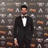 Miguel Angel Muñoz - Photocall lors de la 31ème cérémonie des Goya Awards à l'hôtel Marriott à Madrid, le 4 février 2017.