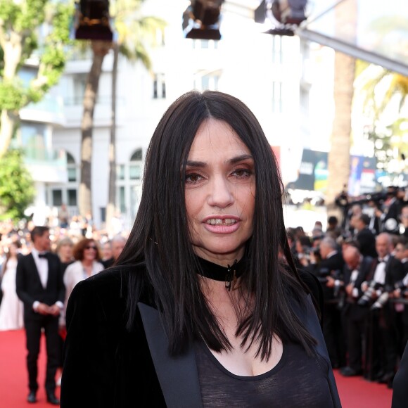 Béatrice Dalle - Montée des marches du film "The Meyerowitz Stories" lors du 70e Festival International du Film de Cannes. Le 21 mai 2017. © Borde-Jacovides-Moreau/Bestimage