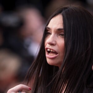 Béatrice Dalle - Montée des marches du film "The Meyerowitz Stories" lors du 70e Festival International du Film de Cannes. Le 21 mai 2017. © Borde-Jacovides-Moreau / Bestimage