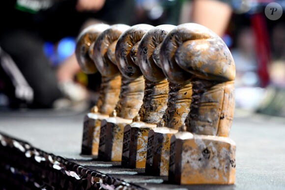 Illustration trophées lors de la 5ème édition de la Fight Night à la Citadelle de Saint-Tropez, le 4 août 2017.La Fight Night est un concept original alliant les plus hautes valeurs des sports de combats internationaux au glamour de Saint-­Tropez. Certains des plus grands noms de la boxe thaï et du kick-boxing mondiaux se sont affrontés sur ce ring faisant désormais partie de la légende de la boxe sous toutes ses formes. Cette prestigieuse soirée de gala est devenue au cours du temps LA marque d'un succès sportif et people retentissant. Un événement incontournable dans le village le plus célèbre de la Côte d'Azur. © Rachid Bellak/Bestimage04/08/2017 -