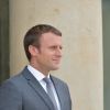Le président de la République Emmanuel Macron attend le premier ministre suédois au Palais de l'Elysée à Paris, le 31 juillet 2017, pour un entretien et une déclaration commune. © Giancarlo Gorassini/Bestimage