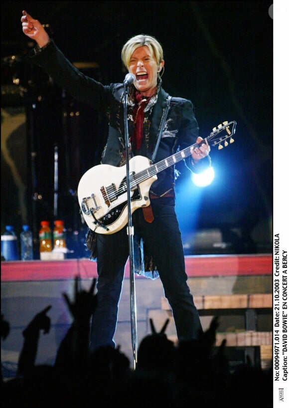 David Bowie en concert à Bercy en 2003