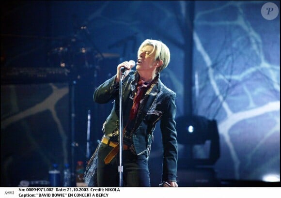 David Bowie en concert à Bercy en 2003