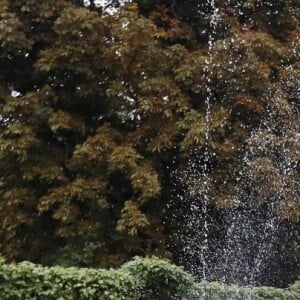 Le prince William, le prince Harry et Kate Middleton ont visité le 30 août 2017, à la veille du 20e anniversaire de la mort de Lady Diana, le Sunken Garden devenu le White Garden dans les jardins du palais de Kensington.