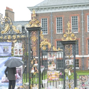 Le prince William et le prince Harry ont examiné le 30 août 2017, à la veille du 20e anniversaire de la mort de Lady Diana, les témoignages d'affection et d'hommage du public devant les grilles du palais de Kensington.