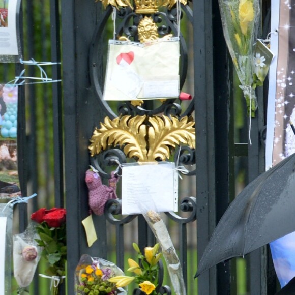 Le prince William et le prince Harry ont examiné le 30 août 2017, à la veille du 20e anniversaire de la mort de Lady Diana, les témoignages d'affection et d'hommage du public devant les grilles du palais de Kensington.