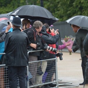 Le prince William et le prince Harry ont examiné le 30 août 2017, à la veille du 20e anniversaire de la mort de Lady Diana, les témoignages d'affection et d'hommage du public devant les grilles du palais de Kensington.