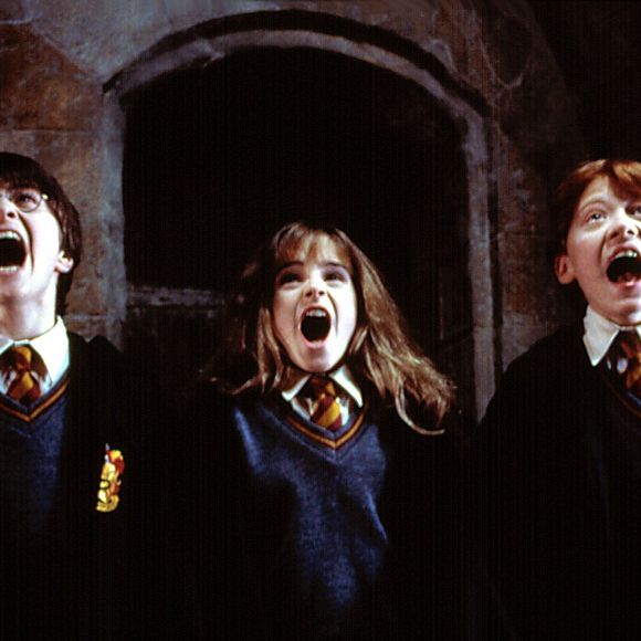 Harry Potter and the Sorcerer's Stone dans lequel le nom de Nicolas Flamel est cité.