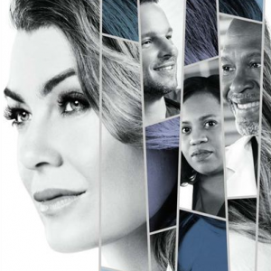 Saison 14 de Grey's Anatomy.