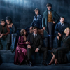 Première image officielle du film Les Animaux Fantastiques : Les Crimes de Grindelwald