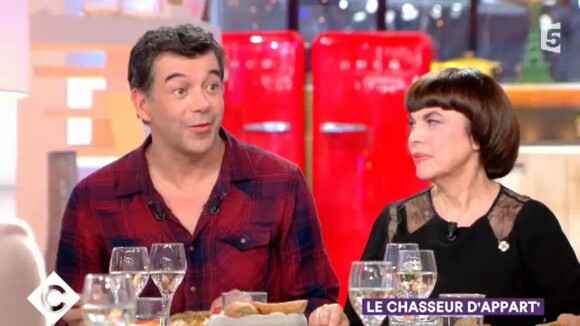 Stéphane Plaza dans "C à vous", 25 novembre 2017, France 5