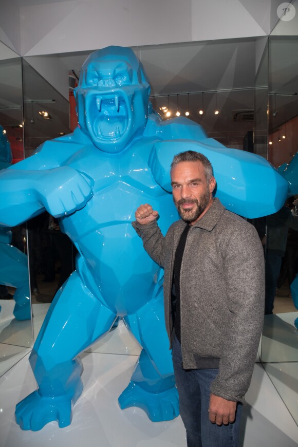 Exclusif - Cocktail d'inauguration de la première galerie Pop Art Concept store entièrement dédié aux oeuvres de Richard Orlinski à Paris, le 23 novembre 2017. © Tiziano da Silva/Bestimage