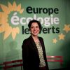 Sandrine Rousseau lors de la conférence de presse d'Europe-Écologie-Les-Verts à Paris, le 16 janvier 2014.
