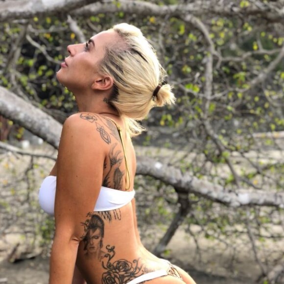 Lady Gaga, en bikini, souhaite une bonne année à ses fans sur Twitter. Janvier 2018