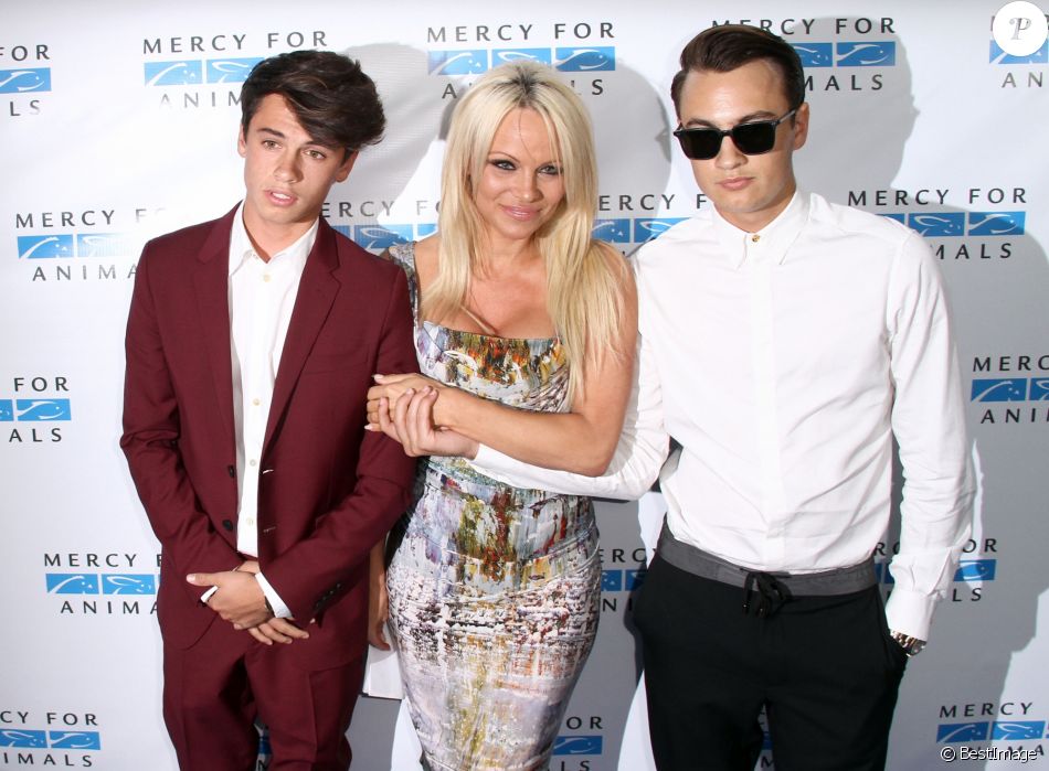 Pamela Anderson et ses fils Dylan Jagger Lee, Brandon Thomas Lee - Tapis rouge du &quot; Mercy for Animals Hidden Heroes Gala 2015 &quot; à Los Angeles Le 29 Août 2015