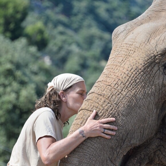 Exclusif - La Princesse Stéphanie de Monaco a ouvert les portes du domaine de Fontbonne au sommet du Mont Agel, dans les Alpes en France, le 12 juillet 2016, où elle a installé les deux éléphants, Baby et Népal. L'occasion de fêter le troisième anniversaire de leur nouvelle vie. Au programme jeu d'eau entre la princesse, Baby et Népal et balade. Le 12 juillet 2013, Baby et Népal, deux éléphants condamnées, étaient recueillies par la princesse Stéphanie après une bataille administrative de plusieurs semaines. © Michael Alesi/Bestimage