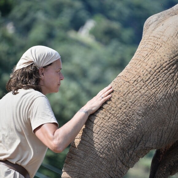 Exclusif - La Princesse Stéphanie de Monaco a ouvert les portes du domaine de Fontbonne au sommet du Mont Agel, dans les Alpes en France, le 12 juillet 2016, où elle a installé les deux éléphants, Baby et Népal. L'occasion de fêter le troisième anniversaire de leur nouvelle vie. Au programme jeu d'eau entre la princesse, Baby et Népal et balade. Le 12 juillet 2013, Baby et Népal, deux éléphants condamnées, étaient recueillies par la princesse Stéphanie après une bataille administrative de plusieurs semaines. © Michael Alesi/Bestimage