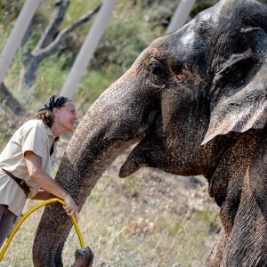 Exclusif - La Princesse Stéphanie de Monaco a ouvert les portes du domaine de Fontbonne au sommet du Mont Agel, dans les Alpes en France, le 12 juillet 2016, où elle a installé les deux éléphants, Baby et Népal. L'occasion de fêter le troisième anniversaire de leur nouvelle vie. Au programme jeu d'eau entre la princesse, Baby et Népal et balade. Le 12 juillet 2013, Baby et Népal, deux éléphants condamnées, étaient recueillies par la princesse Stéphanie après une bataille administrative de plusieurs semaines. © Michael Alesi/Bestimage