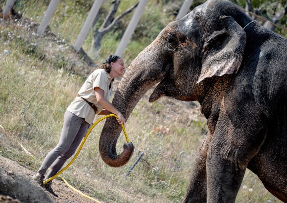 Exclusif - La Princesse Stéphanie de Monaco a ouvert les portes du domaine de Fontbonne au sommet du Mont Agel, dans les Alpes en France, le 12 juillet 2016, où elle a installé les deux éléphants, Baby et Népal. L'occasion de fêter le troisième anniversaire de leur nouvelle vie. Au programme jeu d'eau entre la princesse, Baby et Népal et balade. Le 12 juillet 2013, Baby et Népal, deux éléphants condamnées, étaient recueillies par la princesse Stéphanie après une bataille administrative de plusieurs semaines. © Michael Alesi/Bestimage