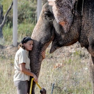 Exclusif - La Princesse Stéphanie de Monaco a ouvert les portes du domaine de Fontbonne au sommet du Mont Agel, dans les Alpes en France, le 12 juillet 2016, où elle a installé les deux éléphants, Baby et Népal. L'occasion de fêter le troisième anniversaire de leur nouvelle vie. Au programme jeu d'eau entre la princesse, Baby et Népal et balade. Le 12 juillet 2013, Baby et Népal, deux éléphants condamnées, étaient recueillies par la princesse Stéphanie après une bataille administrative de plusieurs semaines. © Michael Alesi/Bestimage