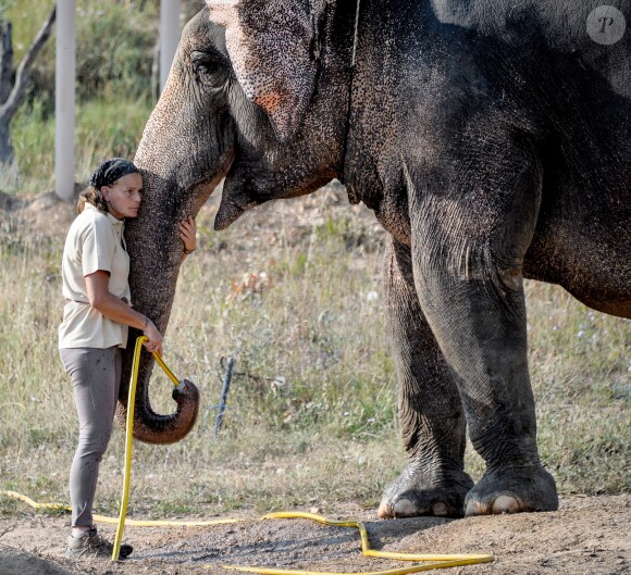 Exclusif - La Princesse Stéphanie de Monaco a ouvert les portes du domaine de Fontbonne au sommet du Mont Agel, dans les Alpes en France, le 12 juillet 2016, où elle a installé les deux éléphants, Baby et Népal. L'occasion de fêter le troisième anniversaire de leur nouvelle vie. Au programme jeu d'eau entre la princesse, Baby et Népal et balade. Le 12 juillet 2013, Baby et Népal, deux éléphants condamnées, étaient recueillies par la princesse Stéphanie après une bataille administrative de plusieurs semaines. © Michael Alesi/Bestimage