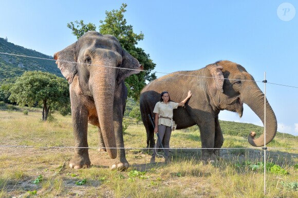Exclusif - La Princesse Stéphanie de Monaco a ouvert les portes du domaine de Fontbonne au sommet du Mont Agel, dans les Alpes en France, le 12 juillet 2016, où elle a installé les deux éléphants, Baby et Népal. L'occasion de fêter le troisième anniversaire de leur nouvelle vie. Au programme jeu d'eau entre la princesse, Baby et Népal et balade. Le 12 juillet 2013, Baby et Népal, deux éléphants condamnées, étaient recueillies par la princesse Stéphanie après une bataille administrative de plusieurs semaines. © Michael Alesi/Bestimage