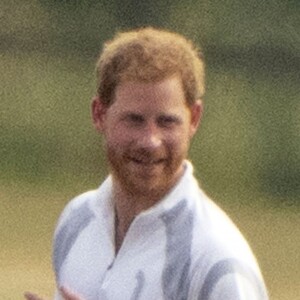 Le prince Harry discute après le "Audi Polo Challenge" à Ascot le 1er juillet 2018