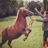 Luna, la fille de Jérôme Bertin, dresse un cheval - Instagram, 14 septembre 2017