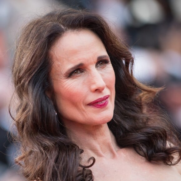 Andie MacDowell - Montée des marches du film "Mise à Mort du Cerf Sacré" lors du 70ème Festival International du Film de Cannes. Le 22 mai 2017. © Borde-Jacovides-Moreau / Bestimage  Red carpet for the movie "The Killing Of A Sacred Deer" during the 70th Cannes International Film festival. On may 22nd 201722/05/2017 - Cannes