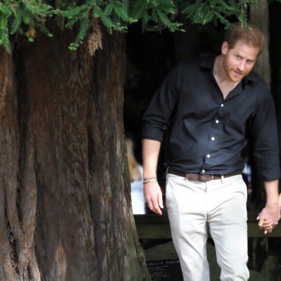 Le prince Harry et Meghan Markle visitent le site Redwoods Treewalk à Rotorua, Nouvelle Zélande le 31 octobre 2018.