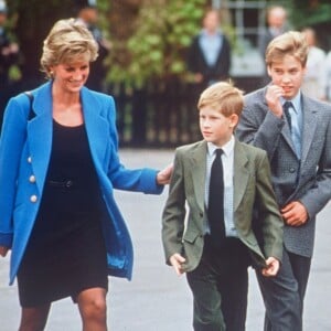 Lady Diana avec les princes Harry et William, le 23 novembre 1995.