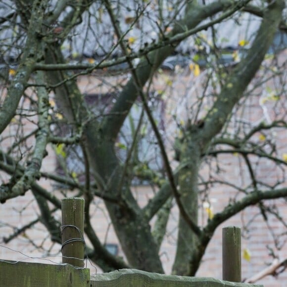 Brigitte Macron et la reine Mathilde de Belgique visitent La Maisonnée, un centre pour personnes souffrant de handicap mental, lors d'une visite d'état en Belgique. La reine Mathilde de Belgique et Brigitte Macron ont participé à un atelier de peinture ainsi qu'à un atelier "médias" où elles ont été interviewées. Belgique, Haut- Ittre, 20 novembre 2018.