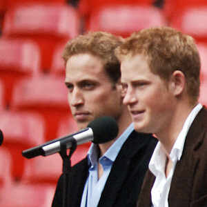 Le prince William et son frère Harry lors de leur visite du stade de Wembley, à Londres, avant le Concert for Diana, le 1er juillet 2007.