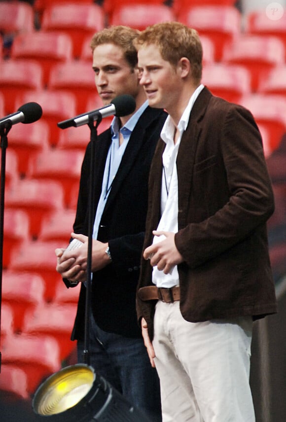 Le prince William et son frère Harry lors de leur visite du stade de Wembley, à Londres, avant le Concert for Diana, le 1er juillet 2007.