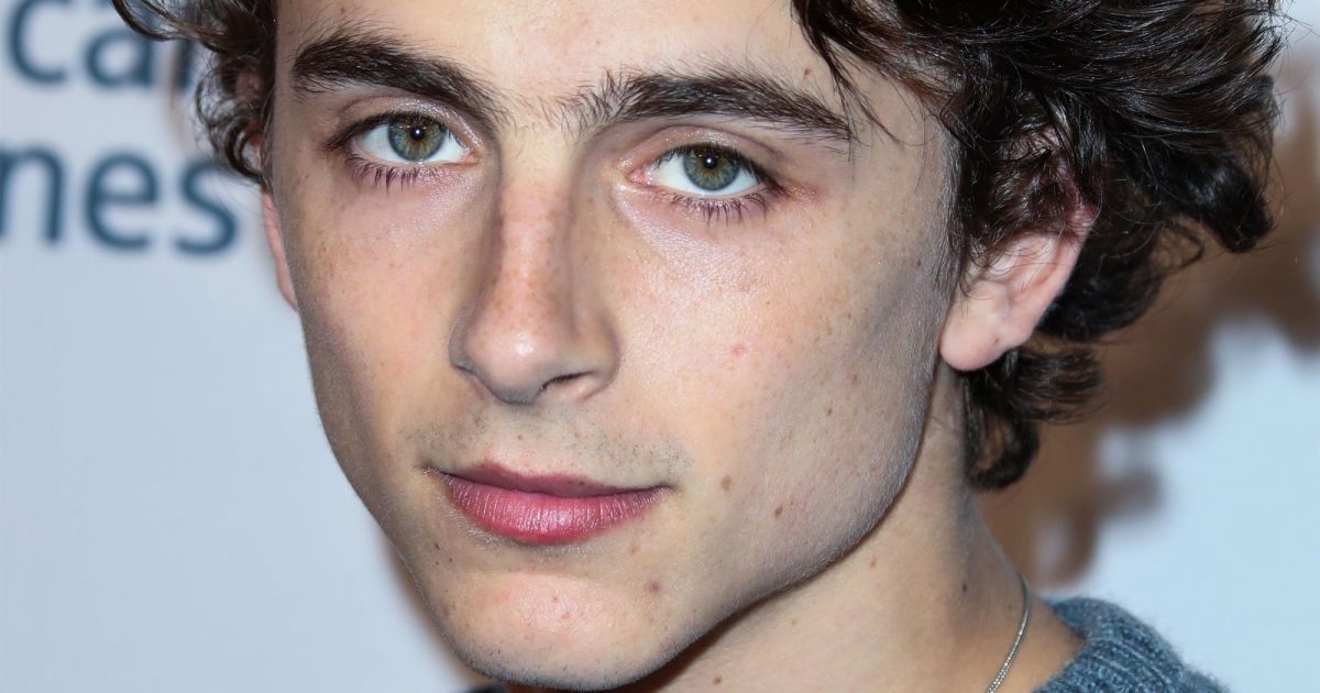 Timothee Chalamet - Photocall de la soirée BAFTA Tea Party à Los