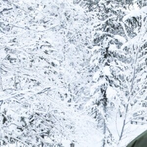 La princesse Victoria de Suède en visite dans un bataillon de chasseurs et une unité hivernale de l'armée à Arvidsjaur, en Laponie, le 23 janvier 2019 par -26°C.