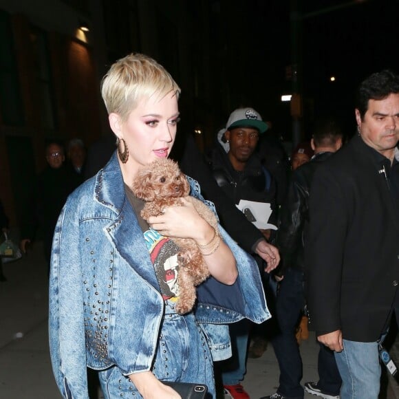 Katy Perry et son petit caniche abricot Nugget à la sortie de l'émission American Idol à New York, le 30 octobre 2018.