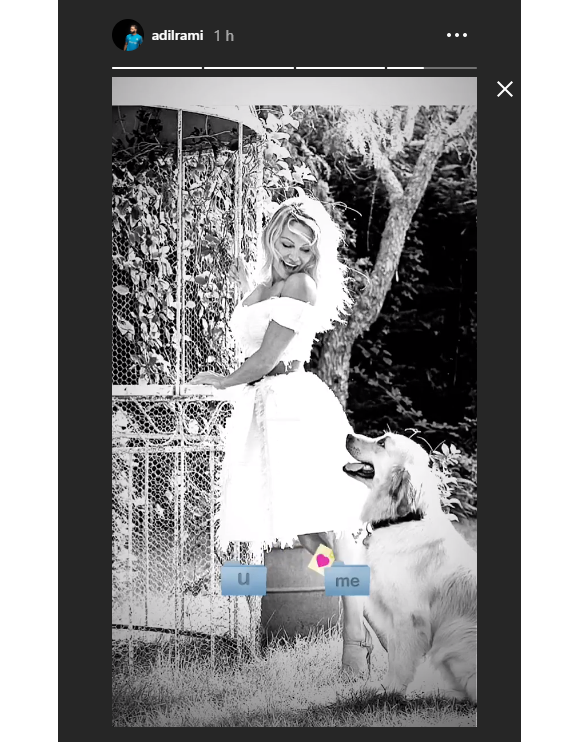 Adil Rami publie une photo de Pamela Anderson dans ses stories Instagram le 5 février 2019.