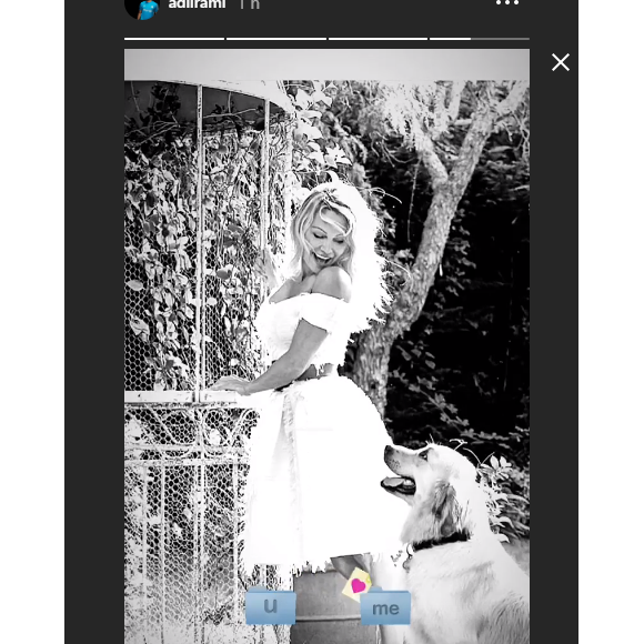 Adil Rami publie une photo de Pamela Anderson dans ses stories Instagram le 5 février 2019.