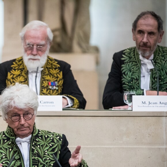 Laurent Petitgirard, Pierre Carron, Jean Anguera, Jean-Jacques Annaud - Installation de Jacques Perrin à l'Academie des beaux-arts sous la coupole de l'Institut de France à Paris le 6 février 2018. © Cyril Moreau/Bestimage