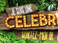 Je suis une célébrité, sortez-moi de là : Une ex-star de Secret Story au casting