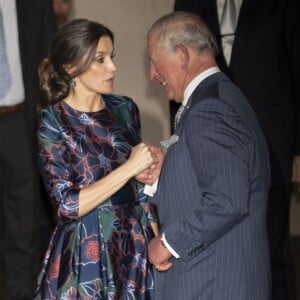 La reine Letizia d'Espagne (robe Carolina Herrera) inaugurait le 13 mars 2019 avec le prince Charles l'exposition "Sorolla: Spanish Master of Light" à la National Gallery à Londres.