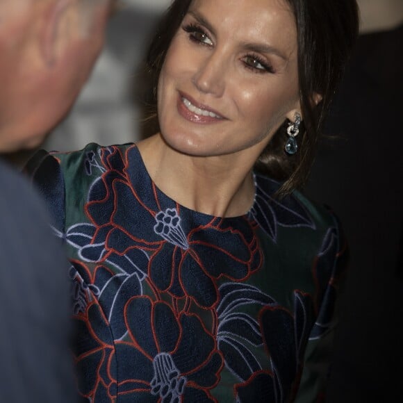 La reine Letizia d'Espagne (robe Carolina Herrera) inaugurait le 13 mars 2019 avec le prince Charles l'exposition "Sorolla: Spanish Master of Light" à la National Gallery à Londres.