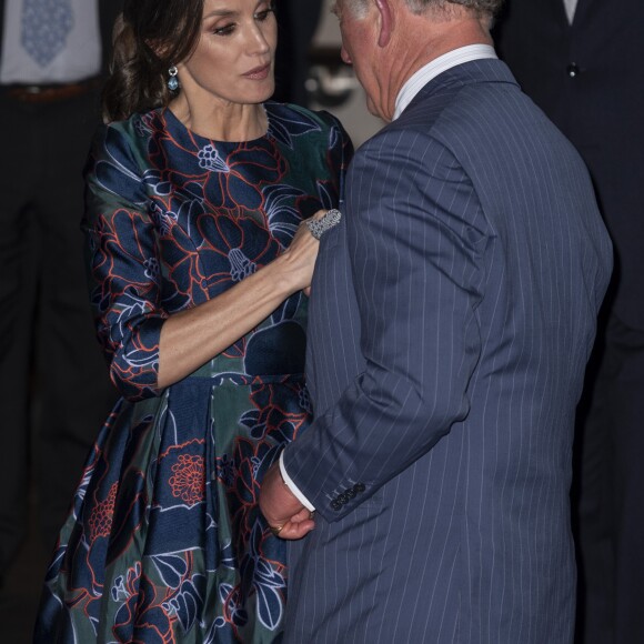 La reine Letizia d'Espagne (robe Carolina Herrera) inaugurait le 13 mars 2019 avec le prince Charles l'exposition "Sorolla: Spanish Master of Light" à la National Gallery à Londres.