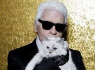 Mort de Karl Lagerfeld : sa chatte Choupette lui rend un hommage stylé