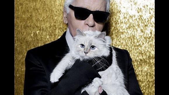 Mort de Karl Lagerfeld : sa chatte Choupette lui rend un hommage stylé