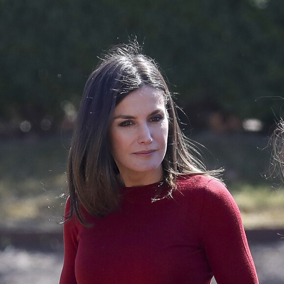 La reine Letizia et le roi Felipe VI d'Espagne avaient le 21 mars 2019 une réunion avec des experts scientifiques au palais du Pardo à Madrid sur la recherche scientifique espagnole.