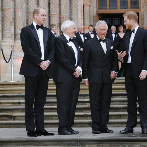 Le prince William, duc de Cambridge, Sir David Attenborough, le prince Charles, prince de Galles, le prince Harry, duc de Sussex, à la première de la série Netflix "Our Planet" au Musée d'Histoires Naturelles à Londres, le 4 avril 2019.