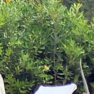 Kendall Jenner et Luka Sabbat se prélassent au bord de la psicine de l'Hôtel du Cap-Eden Roc à Antibes, le 23 mai 2019.