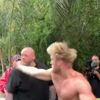 Logan Paul gifle un homme, qui tombe KO, et se retire d'une compétition